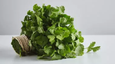 garnishing-instructions-image